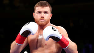 Saul 'canelo' Alvarez's Signature White Boxing Gloves Wallpaper