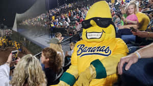 Savannah Bananas Mascot At Game Wallpaper