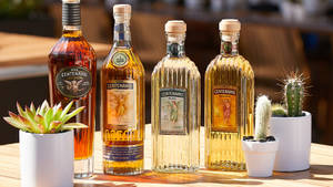 Savory Excellence - Gran Centenario Tequila Collection Wallpaper