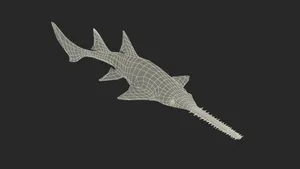 Sawfish Wireframe Model Wallpaper