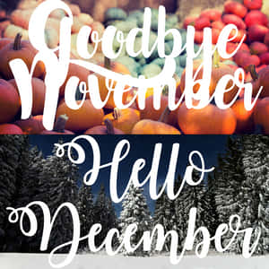 “say Goodbye To November And Welcome December With Open Arms!” Wallpaper