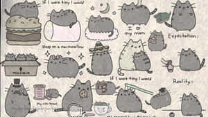 Say Hi To My Little Friend Pusheen! Wallpaper