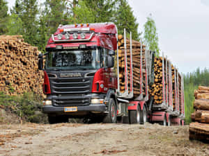 Scania Logging Truckin Forest Wallpaper