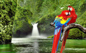 Scarlet_ Macaws_ Riverside_ Perch Wallpaper