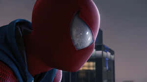 Scarlet Spider Closeup Nighttime Wallpaper