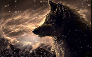 Scarred Black Wolf Wallpaper