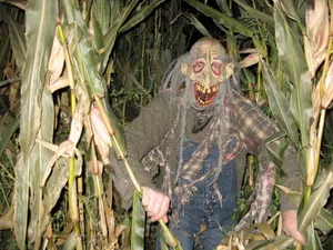 Scary Creaturein Corn Maze Wallpaper