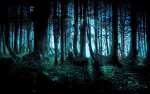 Scary Halloween Desktop Woods Wallpaper