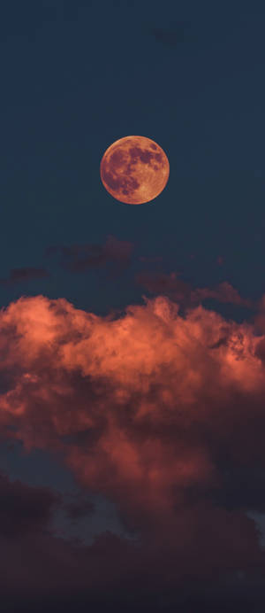 Scary Lunar Moon Halloween Iphone Wallpaper