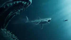 Scary Shark Hunting Other Shark Wallpaper