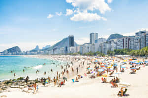 Scenic Brazilian Beach With Golden Sand And Lush Palm Trees Wallpaper