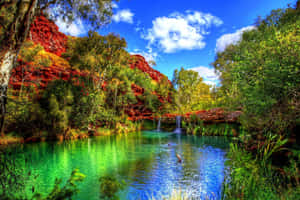 Scenic Desktop Hidden Lake In Forest Wallpaper