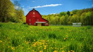 Scenic Fall Barn Landscape Wallpaper