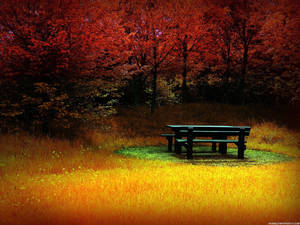 Scenic Fall Desktop Wallpaper