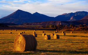 Scenic Fall Harvest Landscape Wallpaper