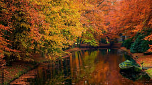 Scenic Fall River Landscape Wallpaper