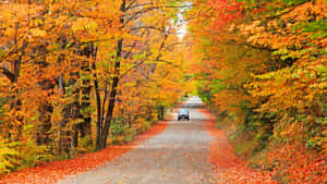 Scenic Fall Road Wallpaper