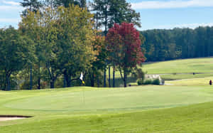 Scenic Golf Green On A Sunny Day Wallpaper