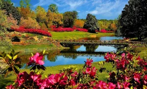 Scenic Image Of Spring River Wallpaper