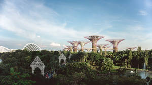 Scenic Paradise Singapore Wallpaper