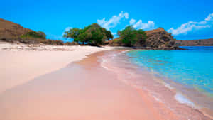 Scenic Pink Beach Paradise Wallpaper