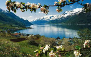 Scenic Spring Mountain Landscape Wallpaper