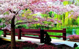 Scenic Spring Park Landscape Wallpaper