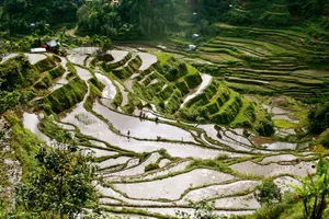 Scenic View Of Banaue Rice Terraces In The Philippines Wallpaper