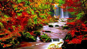 Scenic View Of Fall River Wallpaper