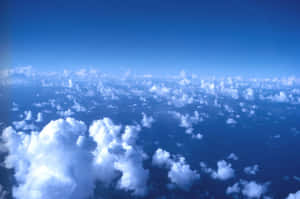 Scenic View Of Lush Green Field During Springtime Wallpaper