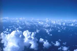 Scenic View Of Lush Green Field During Springtime Wallpaper