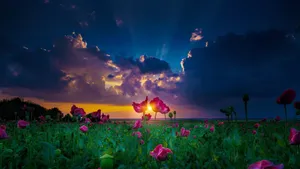 Scenic View Of Mountain Green Meadow Wallpaper