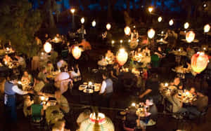 Scenic View Of The Blue Bayou Wallpaper
