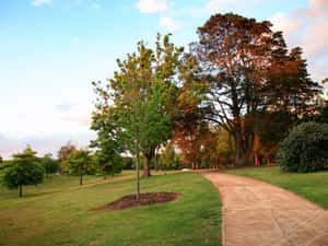 Scenic View Of Toowoomba City From A High Altitude Wallpaper