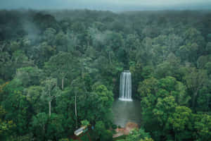 Scenic View Of Tropical Cairns, Australia Wallpaper