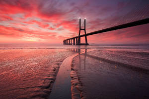 Scenic View Of Vasco Da Gama Bridge On A Chromebook Wallpaper