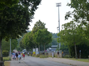 Schaffhausen Park Promenade Walk Wallpaper