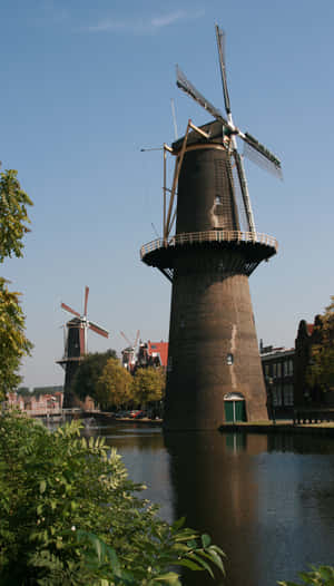 Schiedam Windmills Along Canal Wallpaper