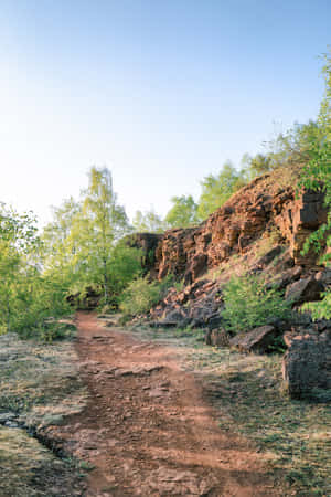 Schifflange Nature Trail Path Wallpaper