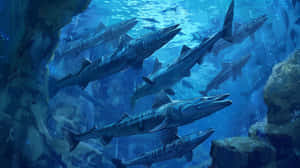 Schoolof Barracudas Underwater Wallpaper