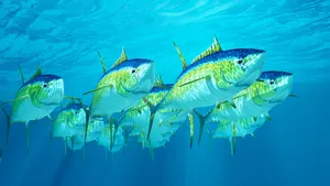 Schoolof Yellowfin Tuna Swimming Wallpaper