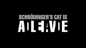 Schrodingers Cat Alive Dead Paradox Wallpaper