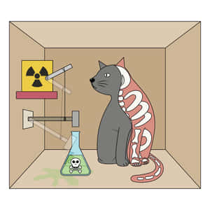Schrodingers Cat Illustration Wallpaper