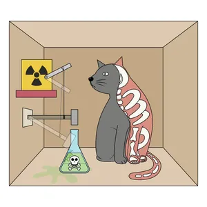 Schrodingers Cat Illustration Wallpaper