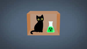 Schrodingers Cat Illustration Wallpaper