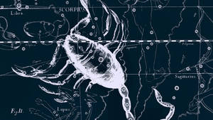 Scorpio Constellation Blueprint Wallpaper