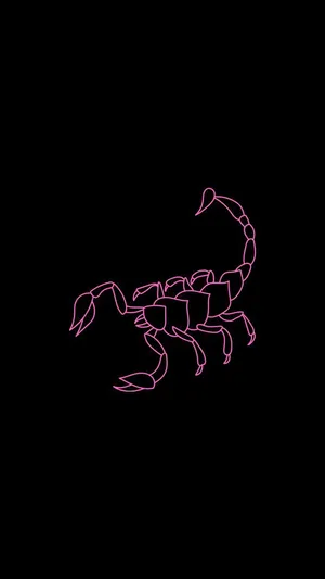 Scorpio Pink Line Art Wallpaper