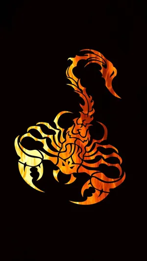 Scorpion Wallpaper Hd - Hd Wallpapers Wallpaper