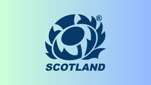 Scotland Rugby Team In Action Wallpaper