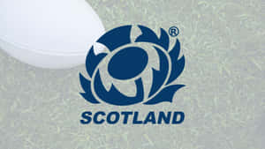 Scotland Rugby Team In Action Wallpaper